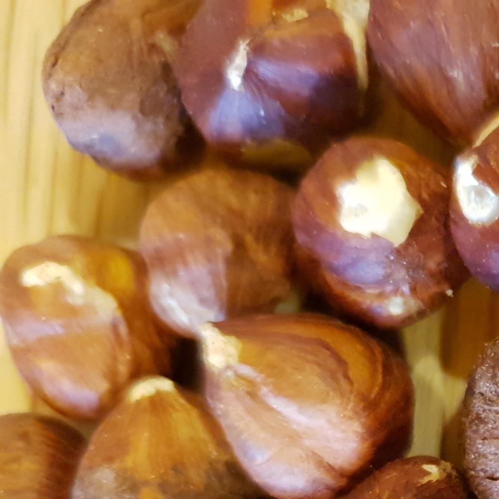 Hazelnut Origin Organic New Raw Natural High Nutrition Hazelnut Kernel Nutritious Delicious OEM Service 100% Natural from TR
