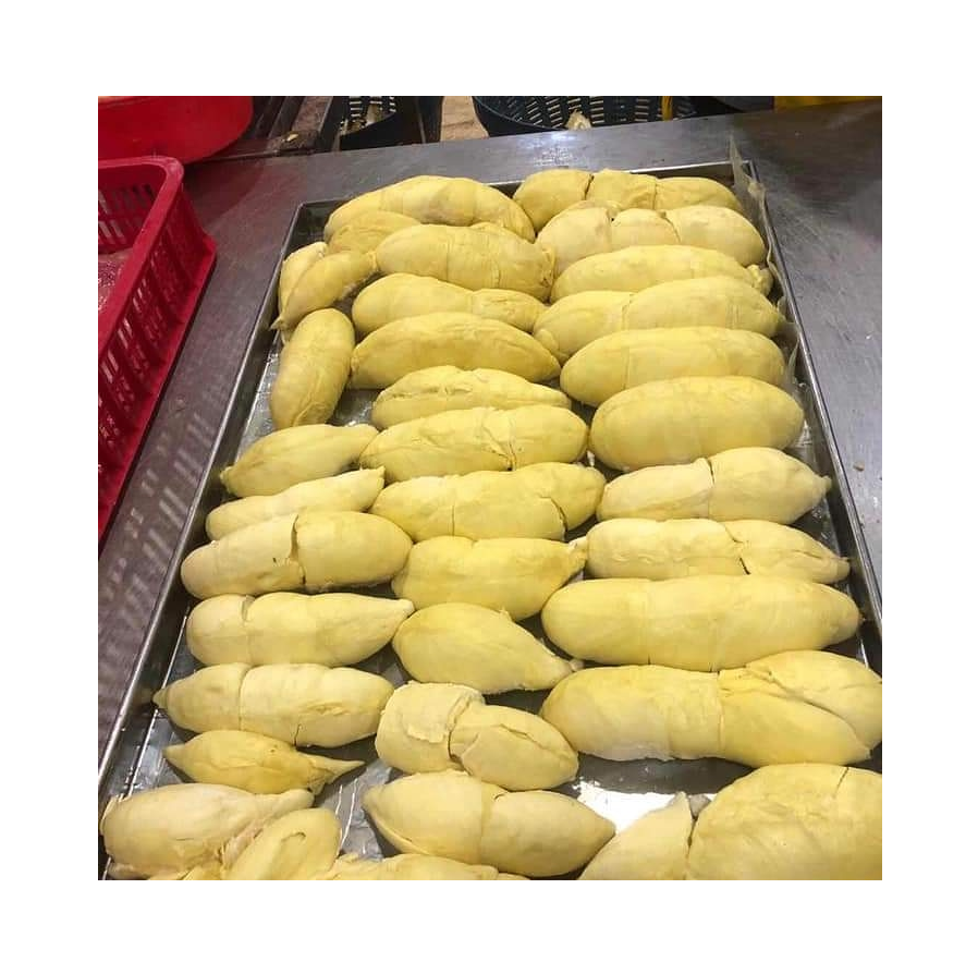 Organic Tasty Light Sweet Natural No Sugar Frozen Durian From Vietnam