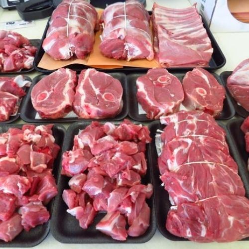 Прямая продажа с завода, Халяльные свежие передние дужки ягненка