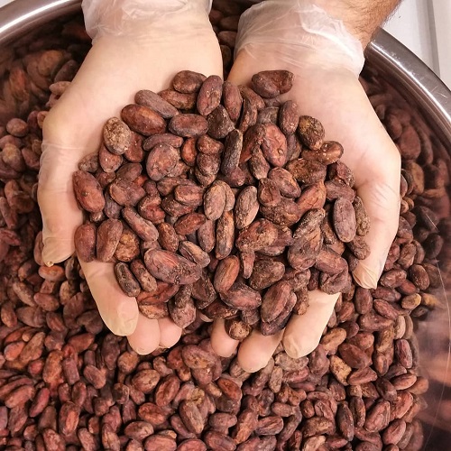 Сырые какао бобы для продажи