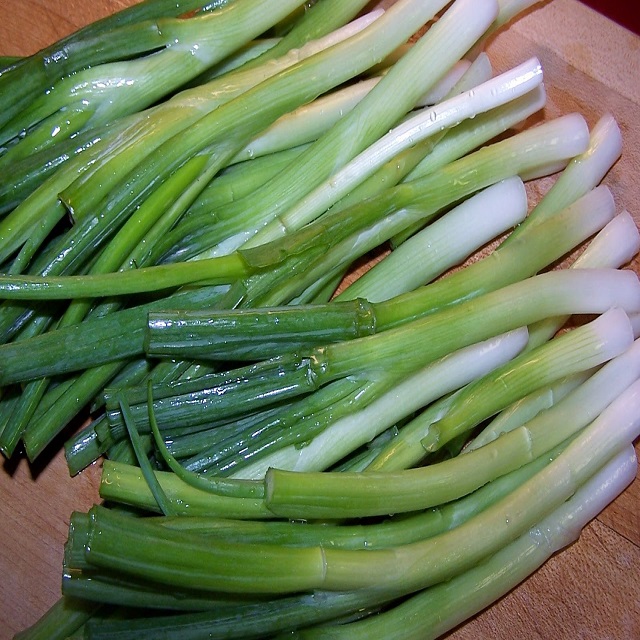 Top Grade and Quality Fresh Scallion
