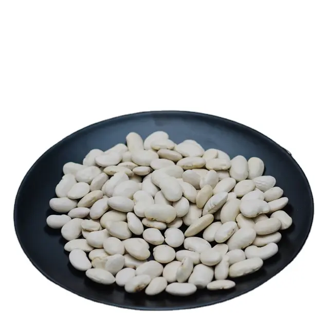 Good Quality White Kidney Bean White Dried Long Beans in Bulk