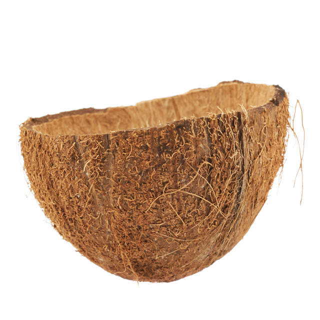 Agriculture Waste Raw Coconut Shell with High Quality