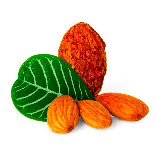 Almond nuts for wholesale