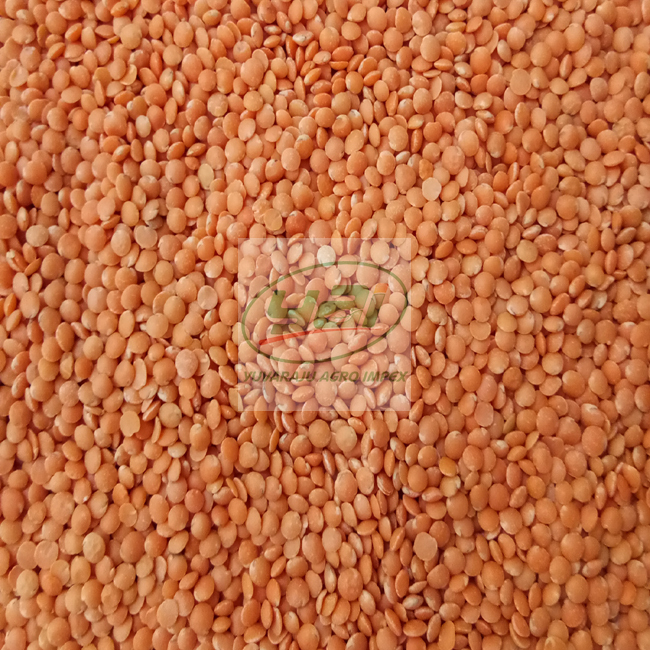 Masoor Dal поставщик