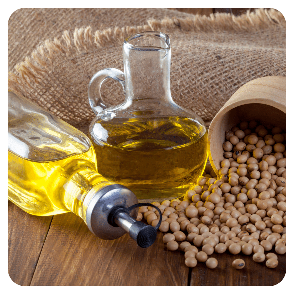 Bulk Refined Edible Cooking Oil Canola Oil / Sunflower & Soyabean, Corn oil