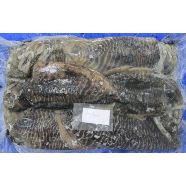 Whole Round Frozen Cuttlefish
