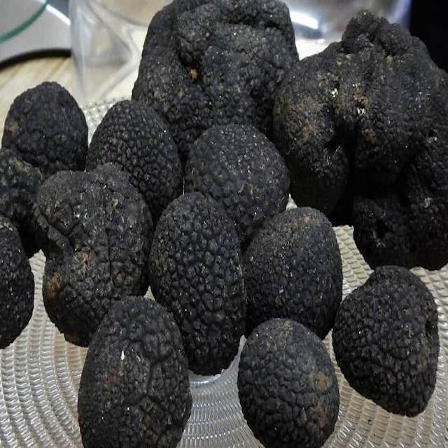 La Truffe Noire du Perigord Fraiche 100 г sous vide (en 2 sachets separes) продажа по лучшим ценам экспорт по всему миру из Франции