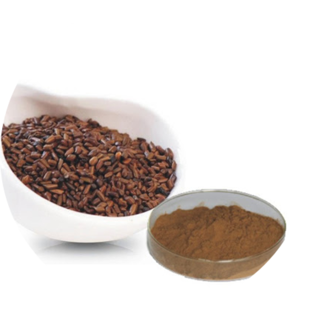 Cassia seed / Organic cassia tora seeds extract
