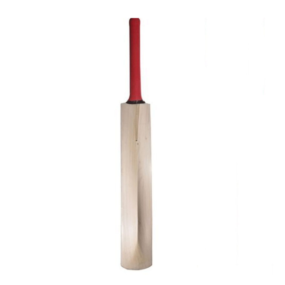 New arrival comfortable reasonable price cricket bat