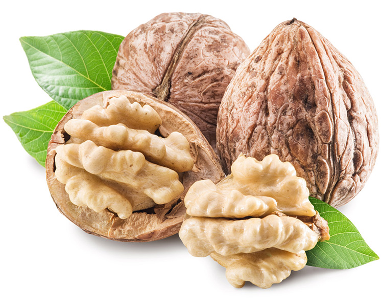 Thin Shell Fresh Delicious Nutrition Chinese Walnut/ Walnut Kernel for hot selling