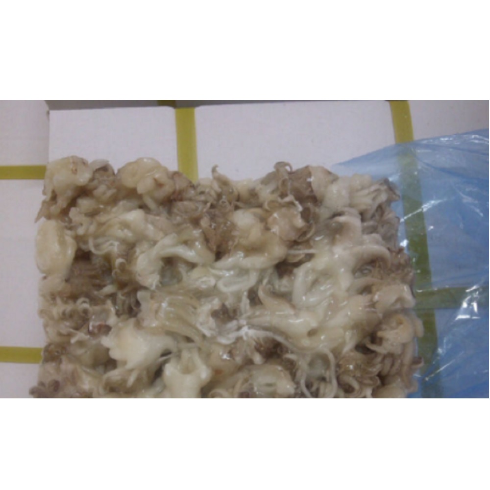 Frozen Cuttlefish Tentacles