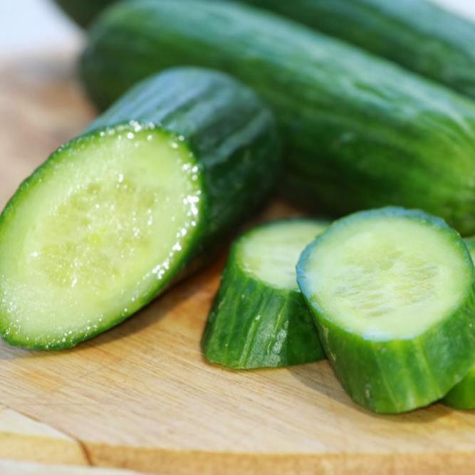 High Quality Fresh Cucumber/Frozen Cucumber/Sea Cucumber