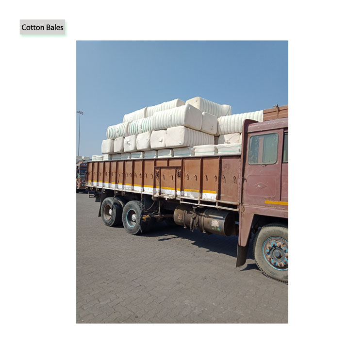 Bulk Supplier of Hot Selling 100% Pure Organic Raw Cotton Bales for Universal Purchase