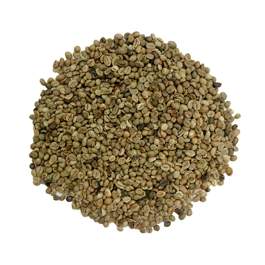 Кофе в зернах Robusta, 13 кофейных зерен, зеленый кофе по заводской цене