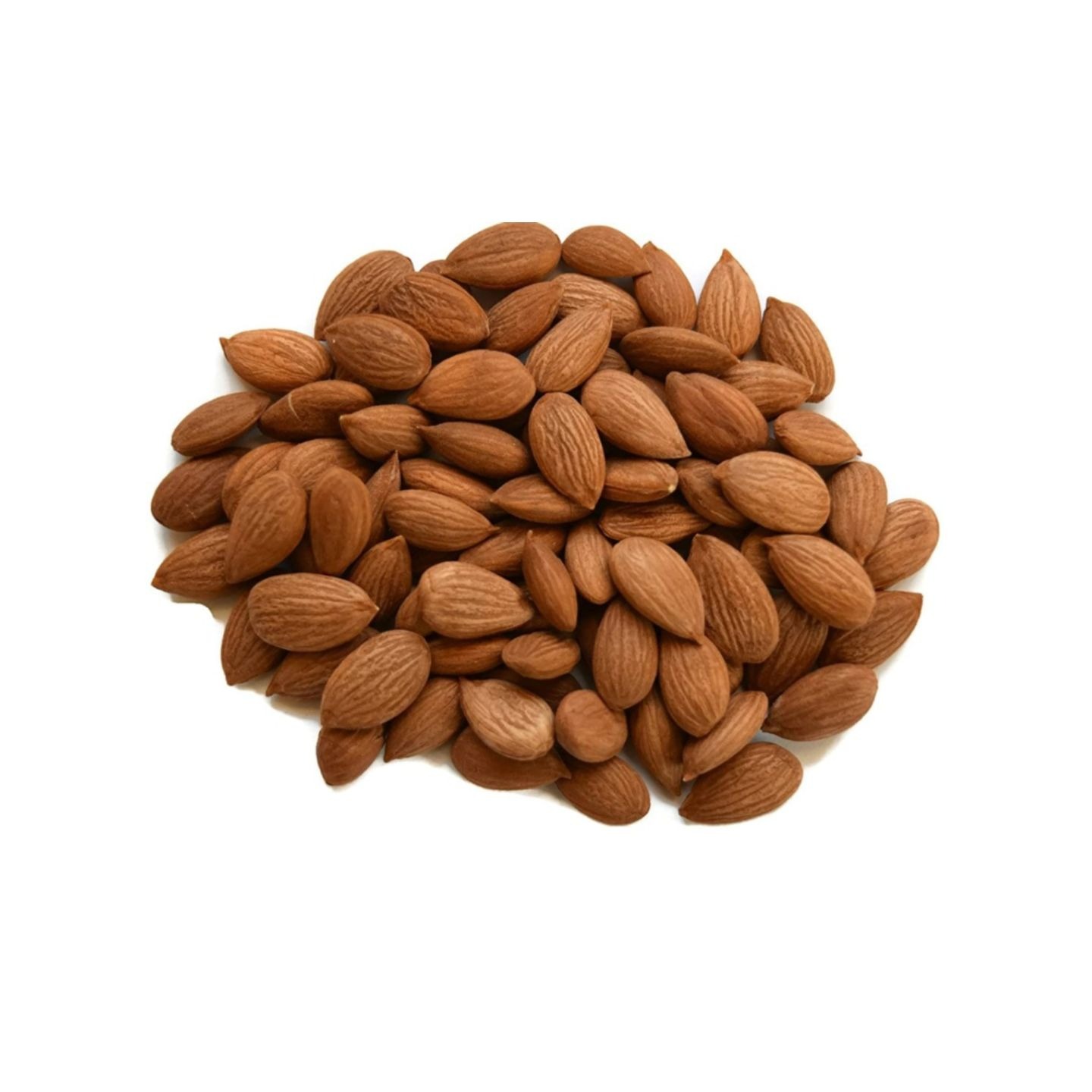 High Quality Dried Roasted Apricot Kernels and Nuts for Snack for Sale