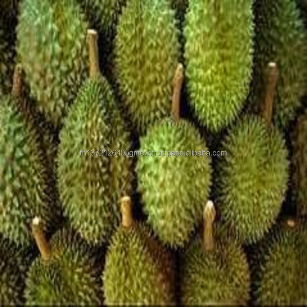 Fresh Durian from Thailand Premium Grade