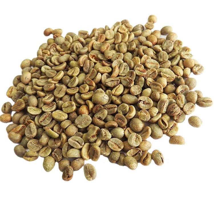 Quality Arabica Green Coffee Beans / Italian Coffee Beans
