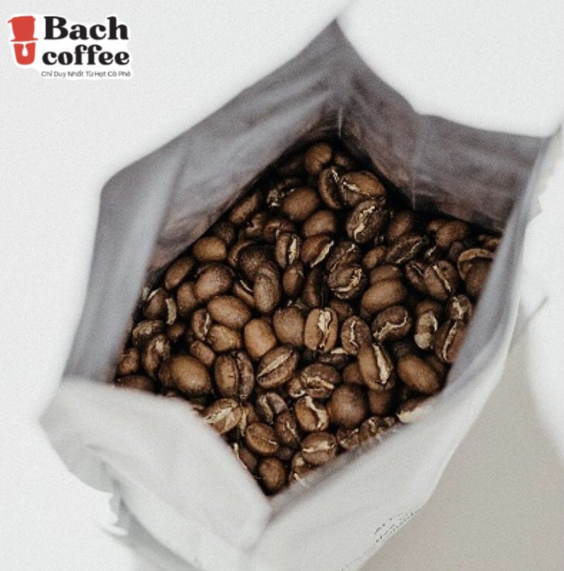 Original Catuai Coffee Beans / Variety Arabica Premium / /Fresh Medium Roast / Fair Direct trade / OEM / Lowest shipping cost