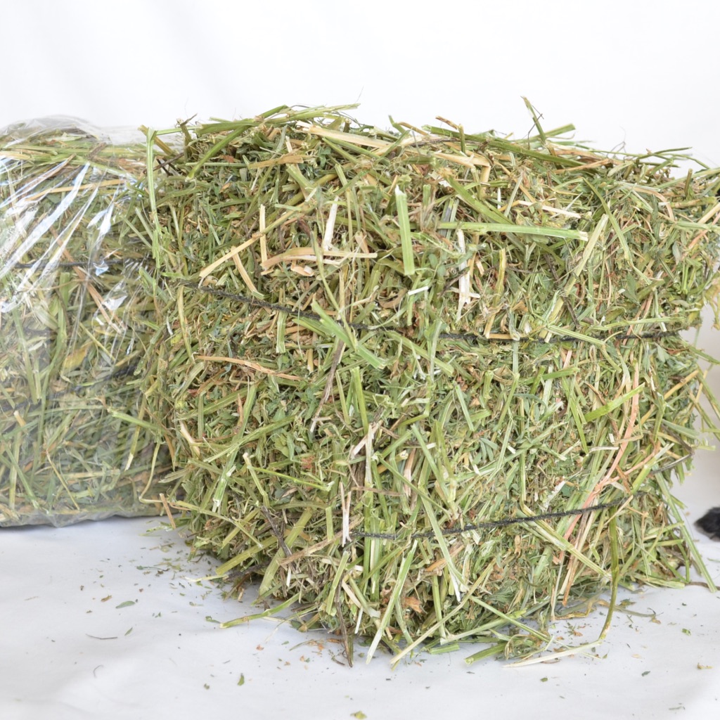 Animal Feed Pure Timothy Hay in Bales For Sale