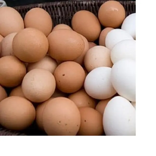 Poultry Farm Table Fresh Chicken Egg