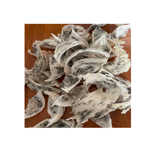 Natural Raw Edible Bird's Nest Grede A Healthcare Supplement 250 g Premium Product from South Thailand