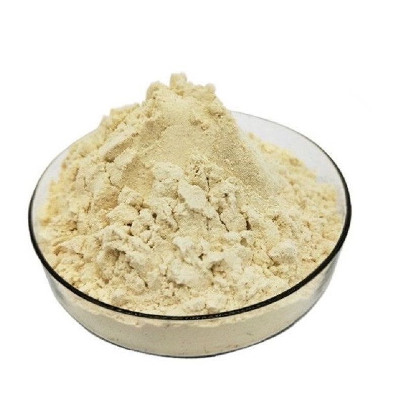 Soybean Meal where to buy soybean meal