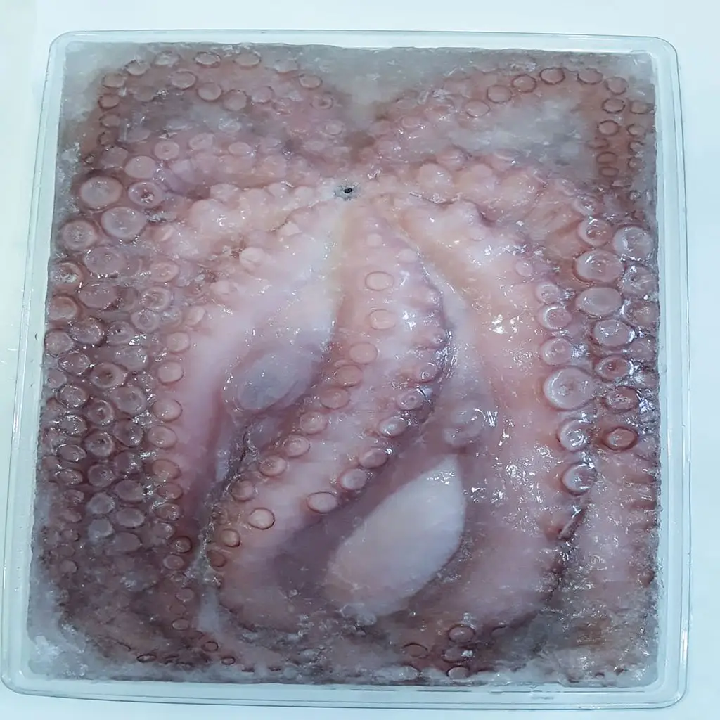 Fresh Frozen Octopus Long Leg / Short Leg 300-500g