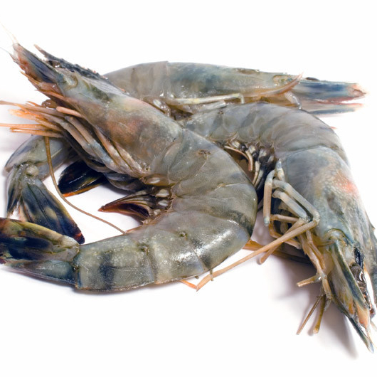 Premium Grade Frozen Vannamei Shrimp Sea Caught Bqf Processing For Bulk Quantity