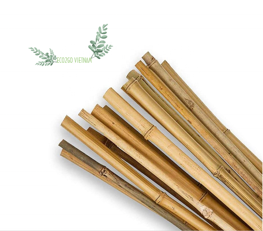 100% Natural Bamboo Stakes / Bamboo Canes/ Bamboo Poles Stake High Quality and Cheap Price Made in Vietnam From Eco2go