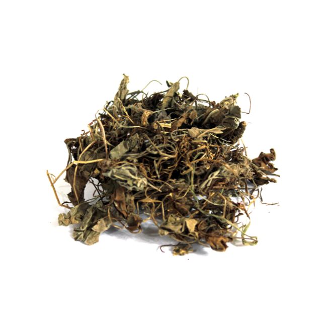 Sweet Violet / Gul-e-Banafsha