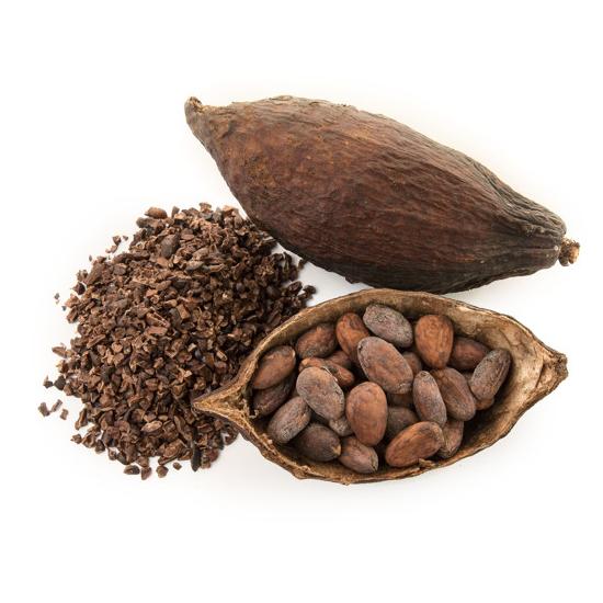 Premium Cocoa Powder Light & Dark