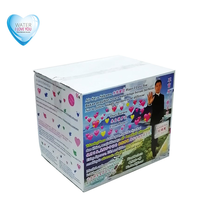 Container purchase latest technology Ultrasonic Alkaline Ionized Water 12 Bottles Per Carton good for human health