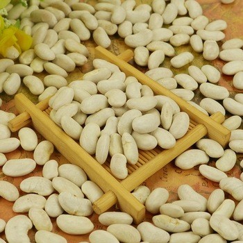 Лимская фасоль
