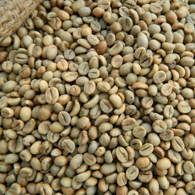 GREEN ROBUSTA COFFEE BEANS S16 BEST PRICE HIGH QUALITY | Ms Cherry 0084 961 358 398