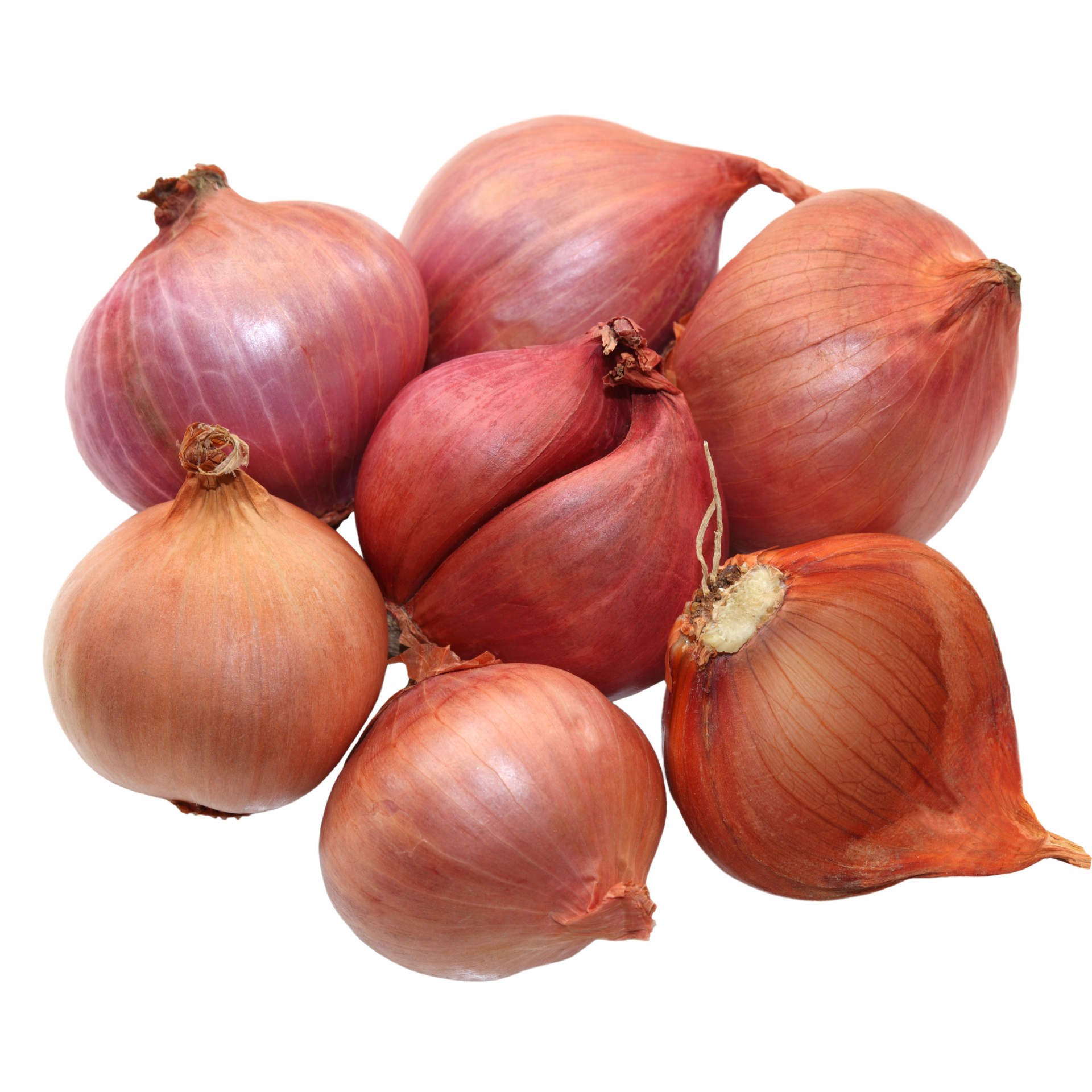 Small Onions/Shallots
