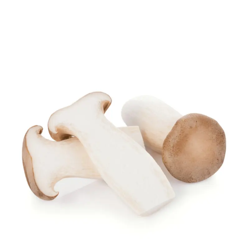 Fresh King Oyster Mushrooms with the Freshest and Most Nutritious Mushrooms Produced in Korea