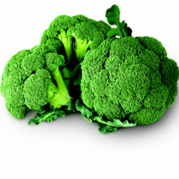 Fresh Broccoli for bulk supplies