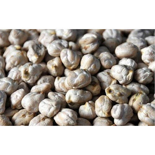 Нут Кабули, нут, сушеные индийские импульсы Kabuli Chana для экспорта