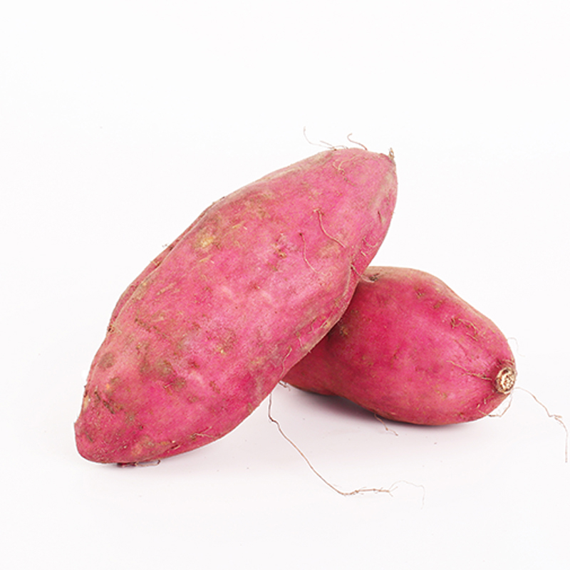 High Quality Fresh Sweet Potatoes from Turkey