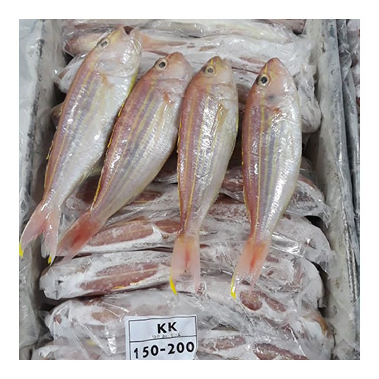 Yellowbelly Threadfin морской лещ рыба