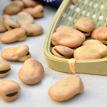 Сушеные бобы Fava фасоли с хорошей ценой