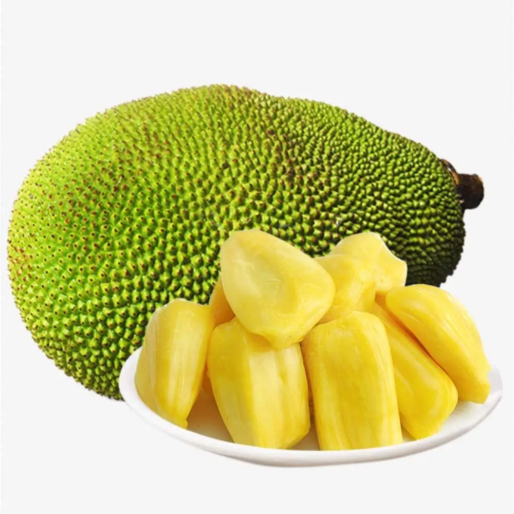 Sweet Taste From Vietnam Fresh Jackfruit 10/15/20/30 kg No Chemicals Top Wholesale
