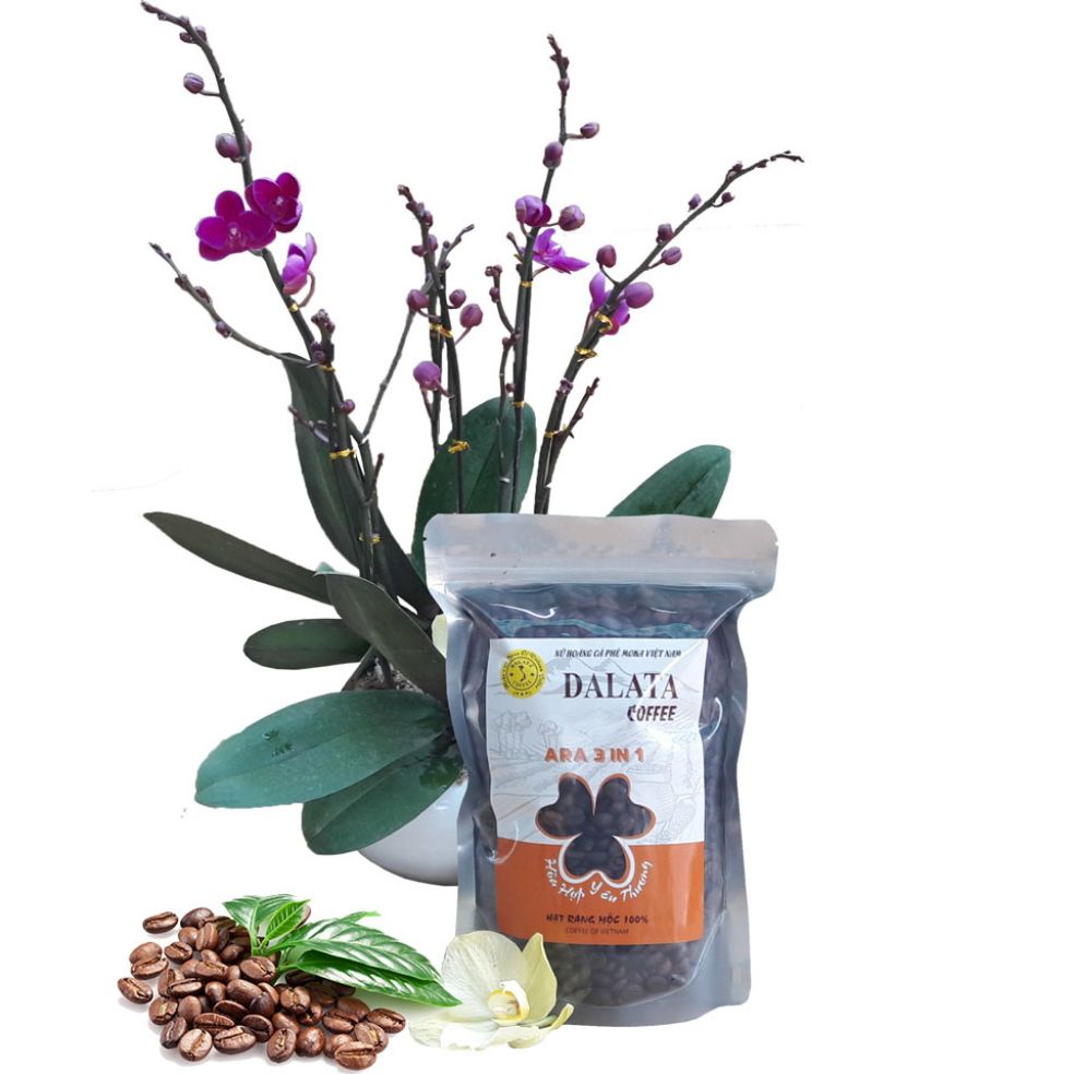 Экспортер жареная Ара 3 в 1 500 г с 50% Арабика 30% Robusta 20% вишня, сделано во Вьетнаме