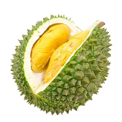 Оптовая цена-Премиум RI6/ MONTHONG DURIAN/мисс Триш + 84 984 696 874 (WHATSAPP)