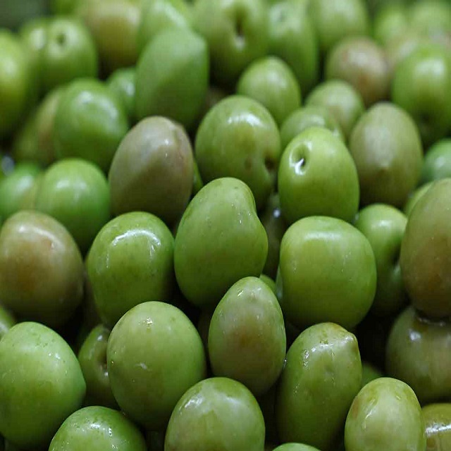 RESH OLIVES WITH CERTIFICATE IN THAILAND