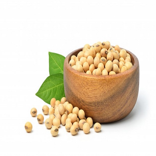 Соевые бобы NON-GMO укороченный высококачественного соевого оптовая продажа