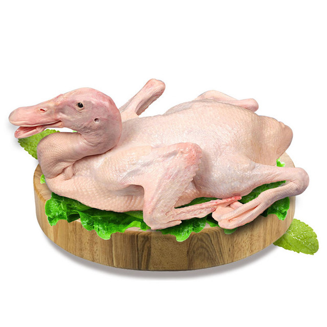 Halal Frozen Whole Duck/ Frozen Duck Feet and Duck Gizzards