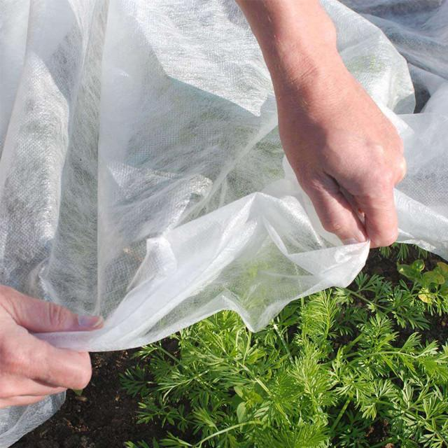 Agriculture Nonwoven Fabric Planting Non-Woven Fabric Gardening Non-Woven Fabric