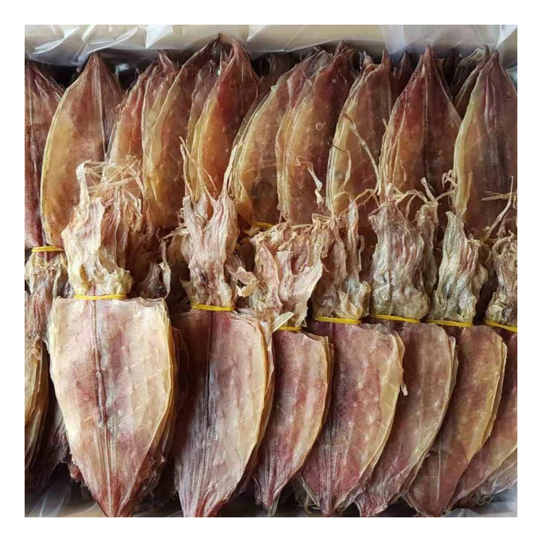 High Quality Dried Skinless Squid/ Cuttlefish with no preservative